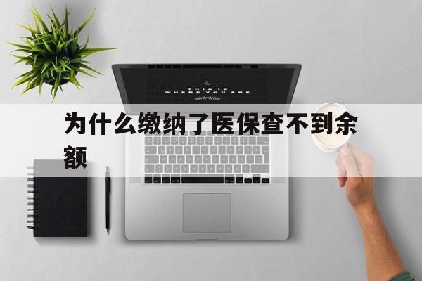 乐清最新为什么缴纳了医保查不到余额方法分析(最方便真实的乐清医保交了费怎么查不到方法)